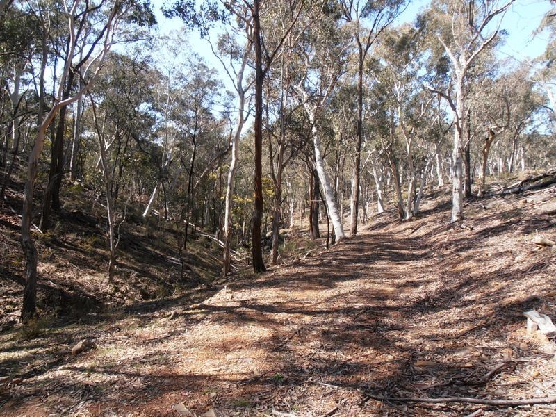 2 Wolgan Valley Road, Ben Bullen NSW 2790