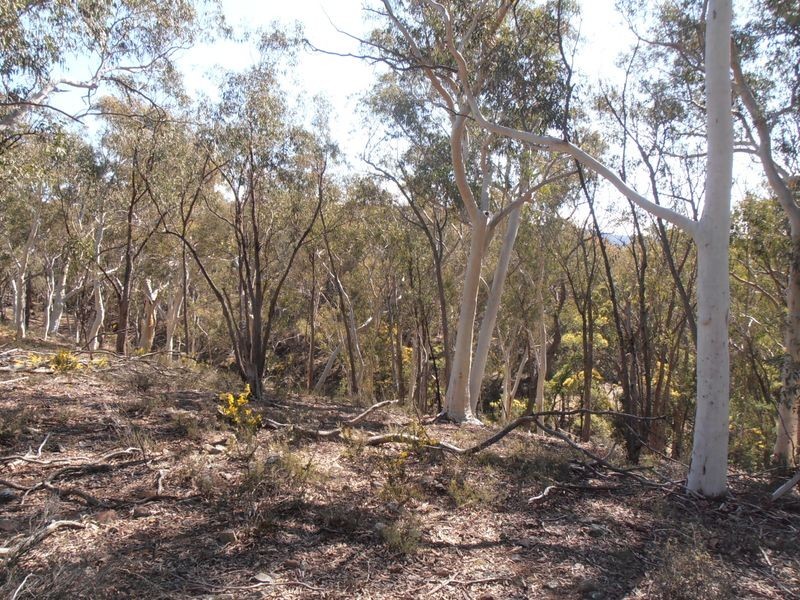 2 Wolgan Valley Road, Ben Bullen NSW 2790