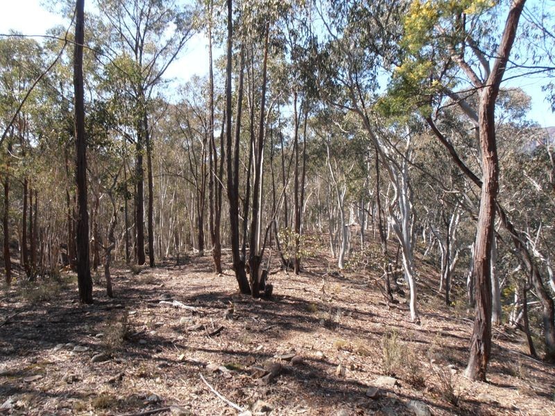 2 Wolgan Valley Road, Ben Bullen NSW 2790