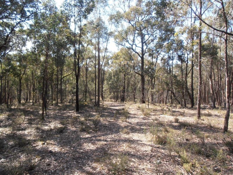 2 Wolgan Valley Road, Ben Bullen NSW 2790