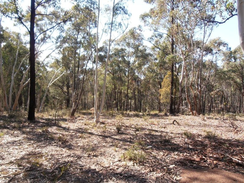 2 Wolgan Valley Road, Ben Bullen NSW 2790