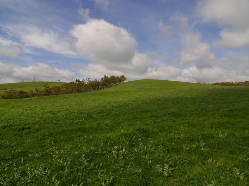 Lot 3 Sunny Corner Road, Portland NSW 2847