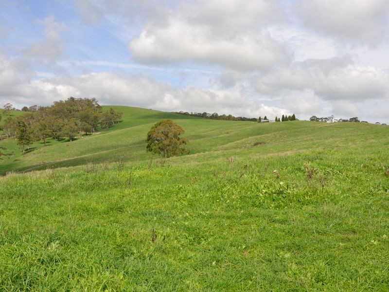 Lot 3 Sunny Corner Road, Portland NSW 2847