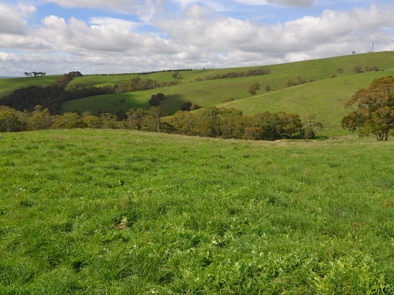 Lot 3 Sunny Corner Road, Portland NSW 2847