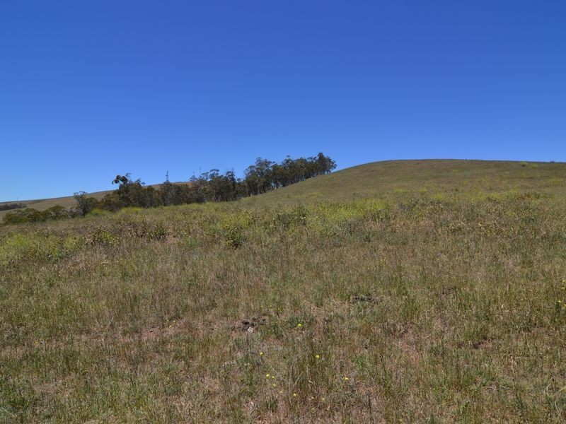 Lot 3 Sunny Corner Road, Portland NSW 2847