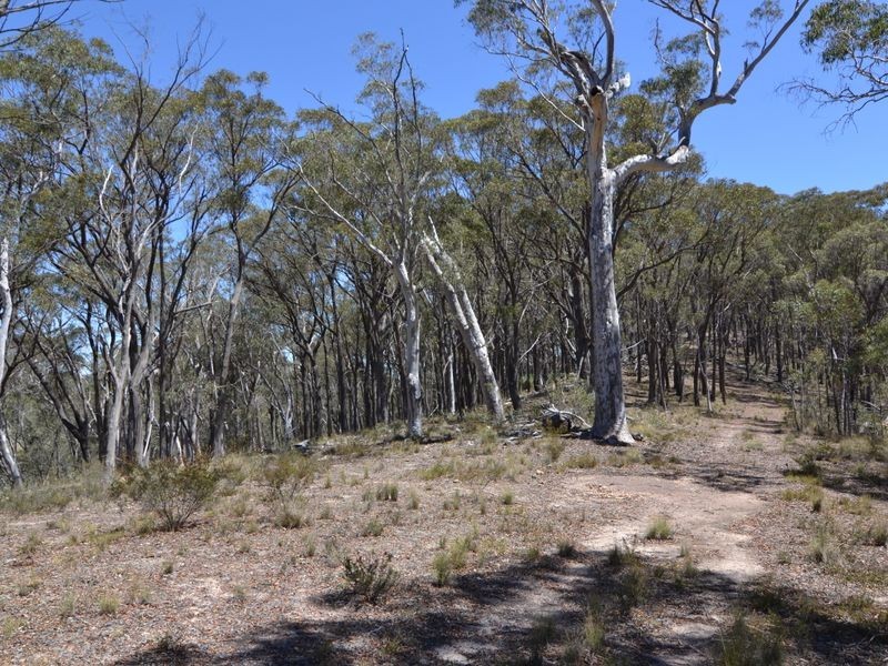 3885 Castlereagh Highway, Ben Bullen NSW 2790