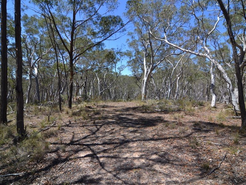 3885 Castlereagh Highway, Ben Bullen NSW 2790