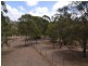 21 Pippin Place, Little Hartley NSW 2790