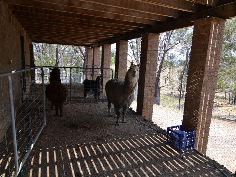 21 Pippin Place, Little Hartley NSW 2790