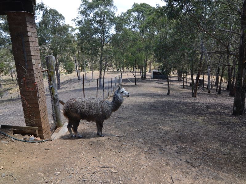 21 Pippin Place, Little Hartley NSW 2790