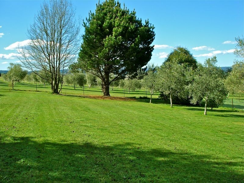 Hampton NSW 2790