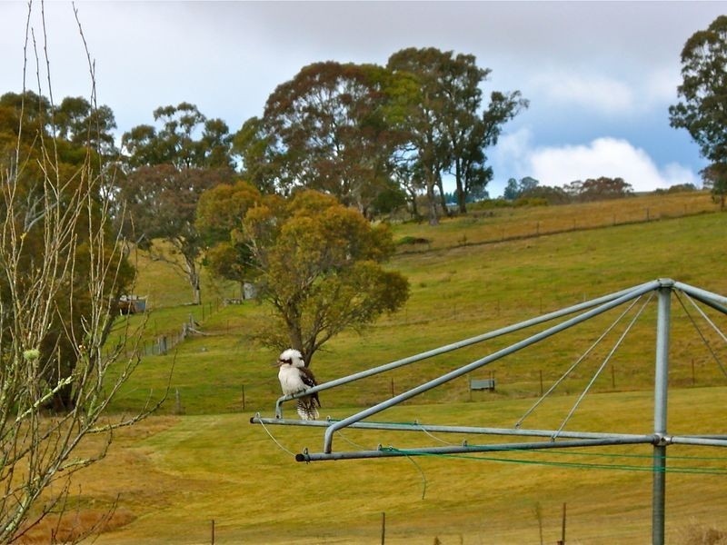 Hampton NSW 2790