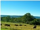 Hampton NSW 2790