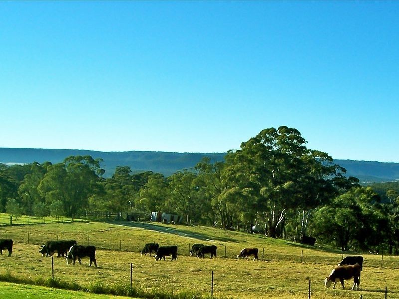 Hampton NSW 2790