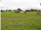 260 Curly Dick Road, Meadow Flat NSW 2795