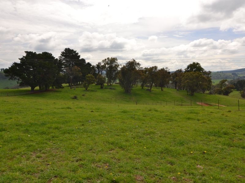 260 Curly Dick Road, Meadow Flat NSW 2795