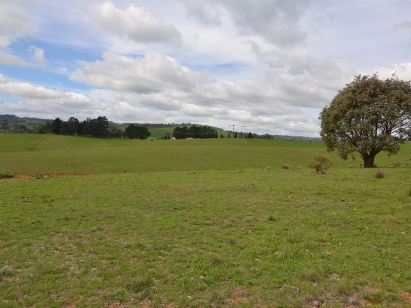 260 Curly Dick Road, Meadow Flat NSW 2795