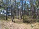 23 Wolgan Road, Lidsdale NSW 2790