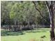 1165 Wolgan Road, Ben Bullen NSW 2790