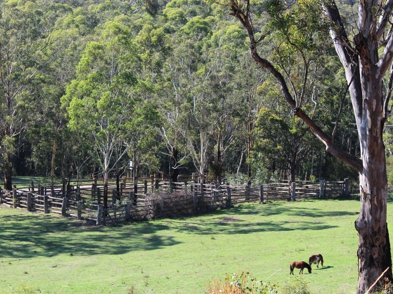 1165 Wolgan Road, Ben Bullen NSW 2790