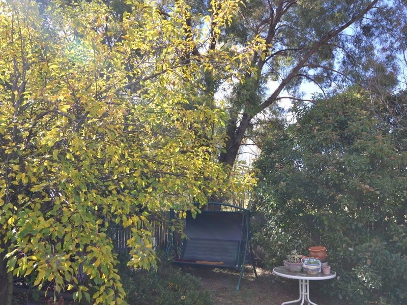 2 Cary Avenue, Wallerawang NSW 2845