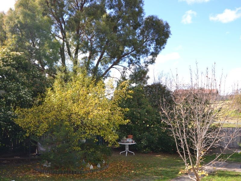 2 Cary Avenue, Wallerawang NSW 2845