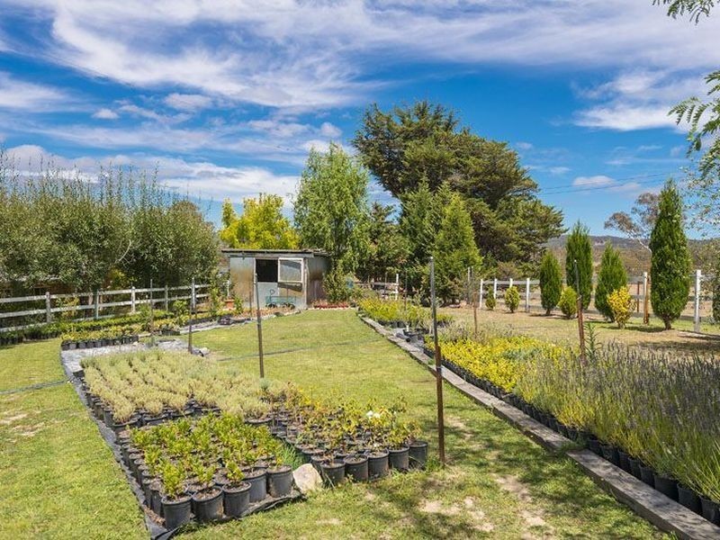 235 Cullen Bullen Road, Portland NSW 2847