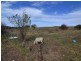 29 Burnett Street, Wallerawang NSW 2845