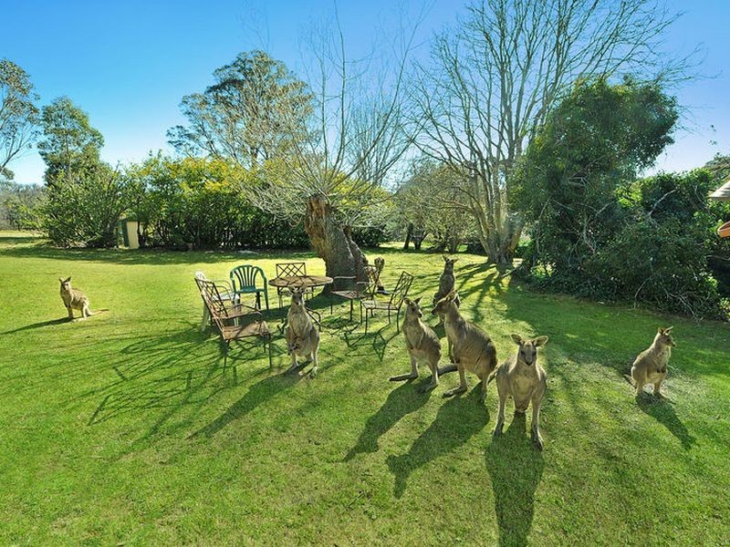 850 Chifley Road, Clarence NSW 2790