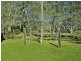 850 Chifley Road, Clarence NSW 2790