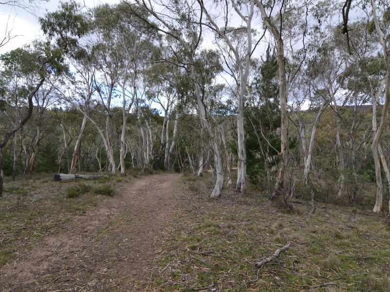 987 Great Western Highway, Wallerawang NSW 2845