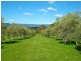 803 Jenolan Caves Road, Hampton NSW 2790