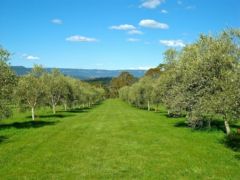 803 Jenolan Caves Road, Hampton NSW 2790