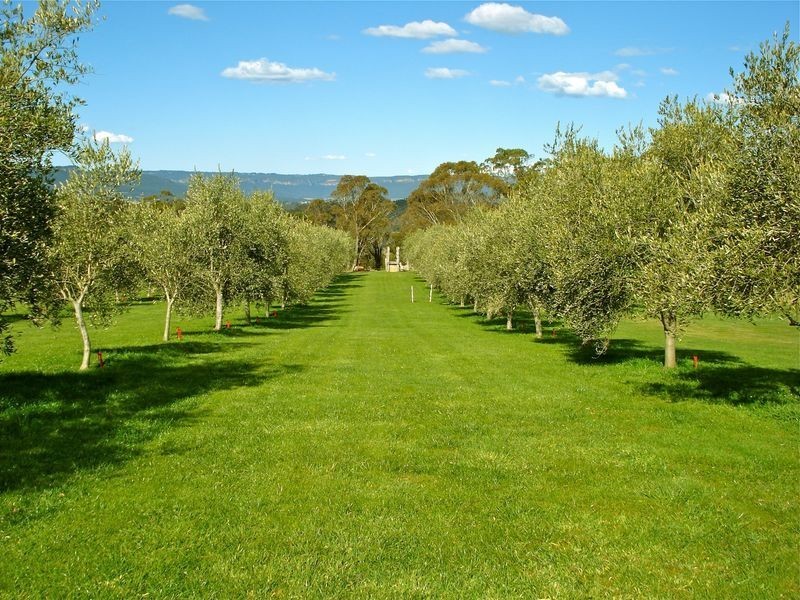 803 Jenolan Caves Road, Hampton NSW 2790