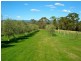 803 Jenolan Caves Road, Hampton NSW 2790