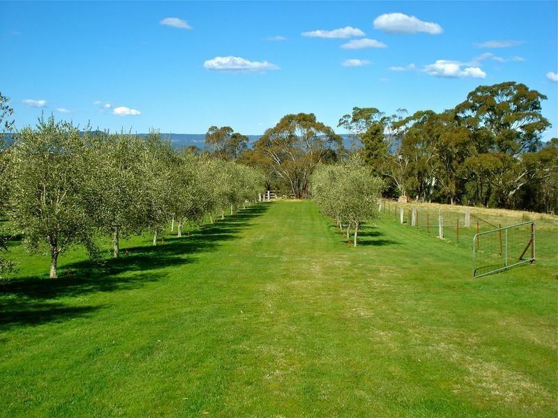 803 Jenolan Caves Road, Hampton NSW 2790