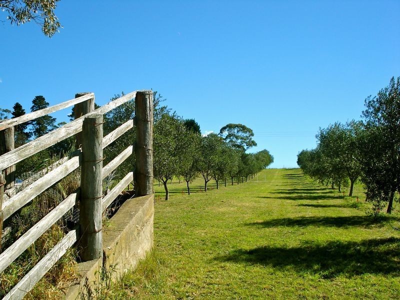 803 Jenolan Caves Road, Hampton NSW 2790