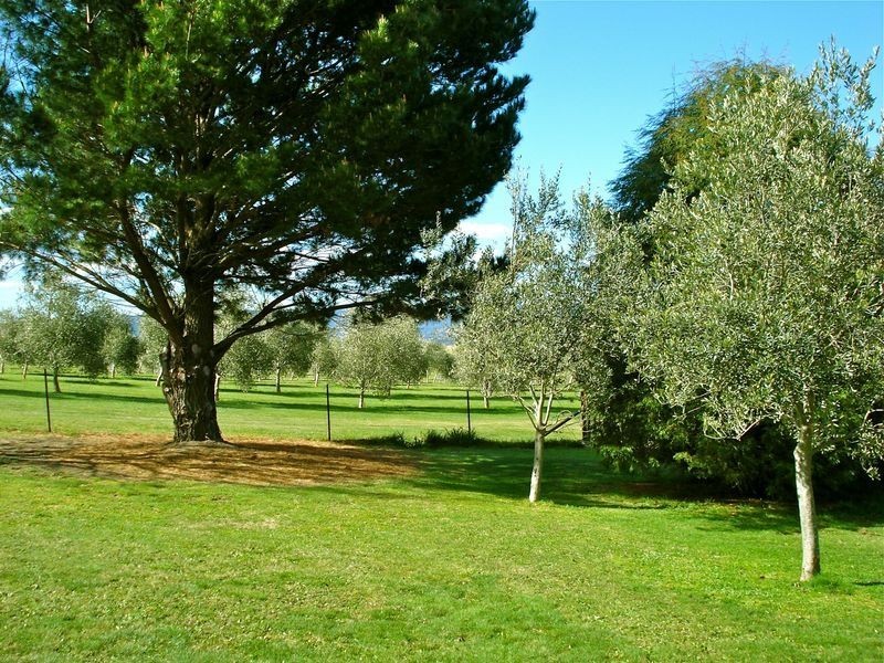 803 Jenolan Caves Road, Hampton NSW 2790