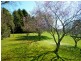 803 Jenolan Caves Road, Hampton NSW 2790