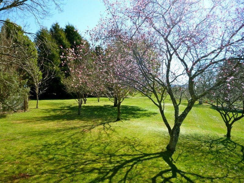 803 Jenolan Caves Road, Hampton NSW 2790