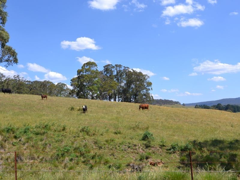 27 Norman Lee Road, Hampton NSW 2790