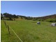 166 Williwa Creek Road, Portland NSW 2847