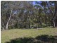 166 Williwa Creek Road, Portland NSW 2847