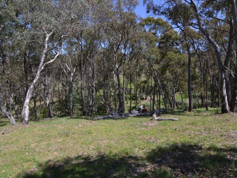 166 Williwa Creek Road, Portland NSW 2847