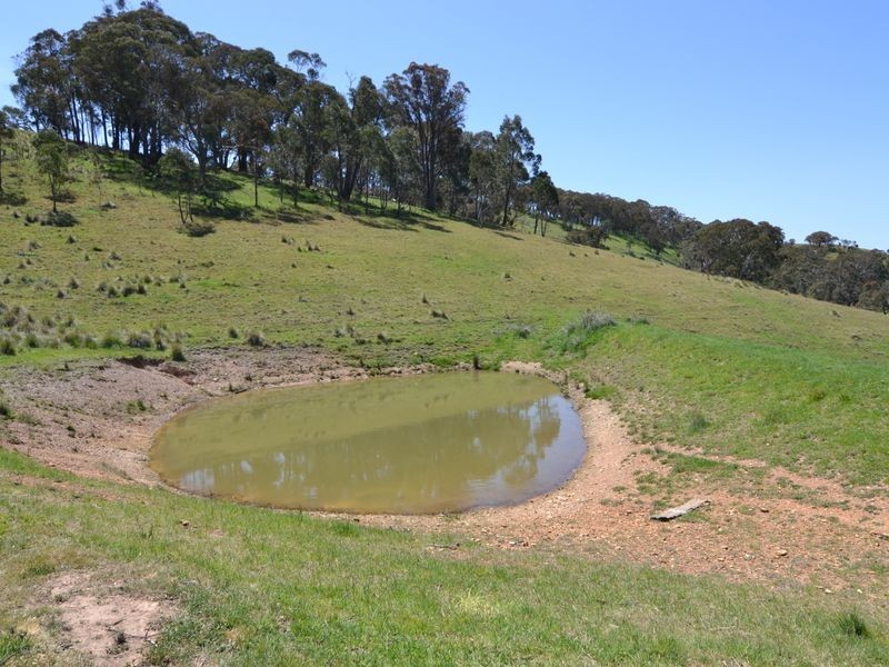 166 Williwa Creek Road, Portland NSW 2847