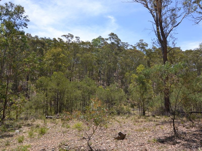 1350 Wolgan Road, Ben Bullen NSW 2790