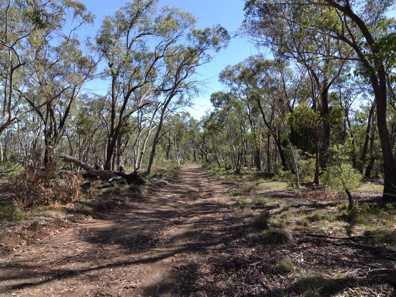 Lot 202 Great Western Highway, Marrangaroo NSW 2790