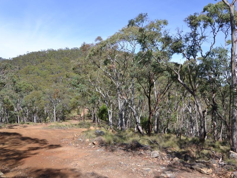 Lot 202 Great Western Highway, Marrangaroo NSW 2790