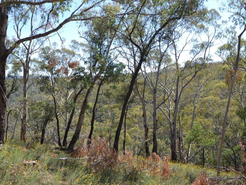 Lot 202 Great Western Highway, Marrangaroo NSW 2790