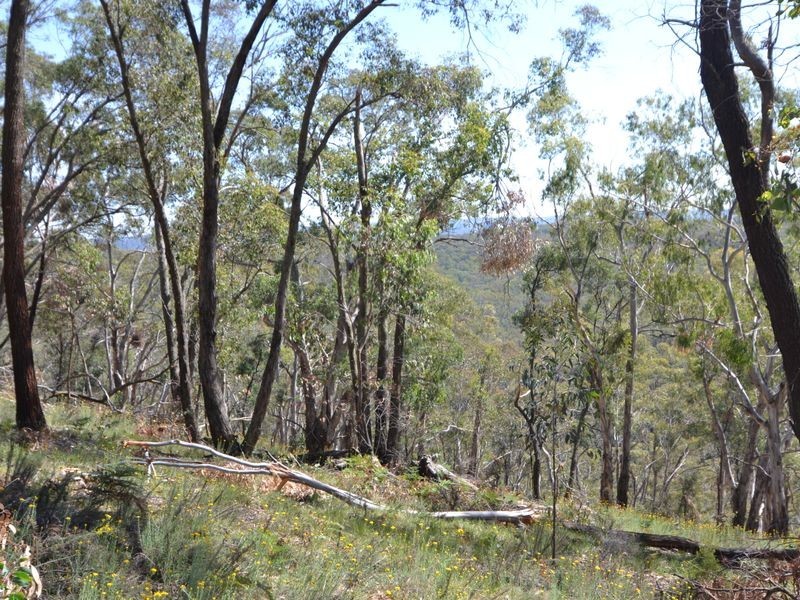 Lot 202 Great Western Highway, Marrangaroo NSW 2790